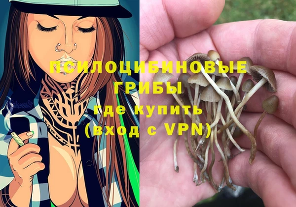apvp Карпинск