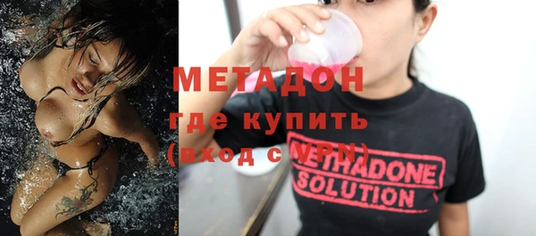 сатива Козловка