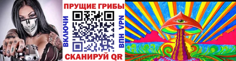 Галлюциногенные грибы GOLDEN TEACHER  Куртамыш 